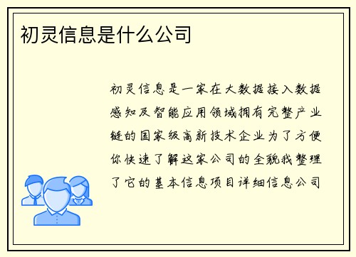 初灵信息是什么公司